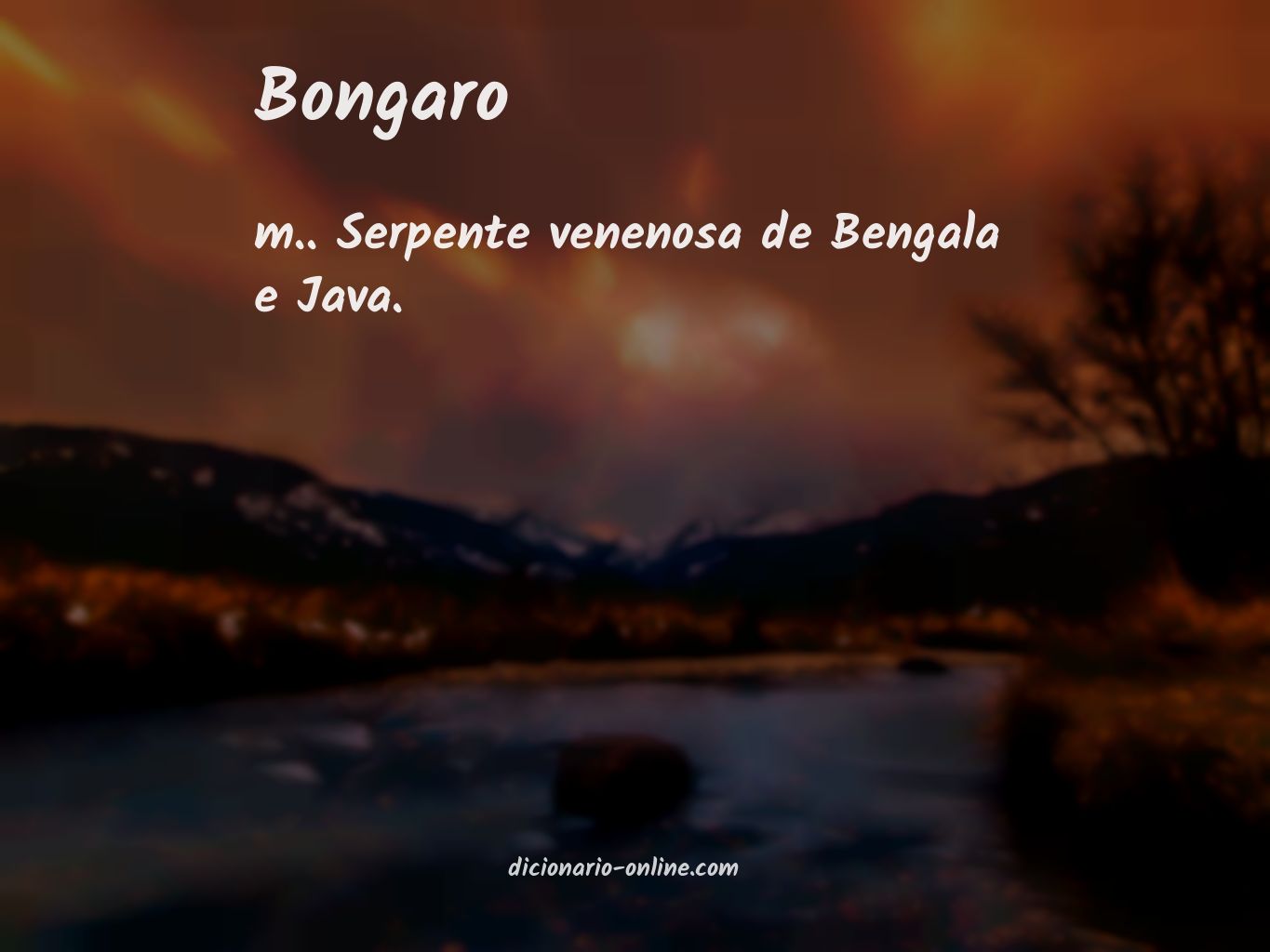 Significado de bongaro