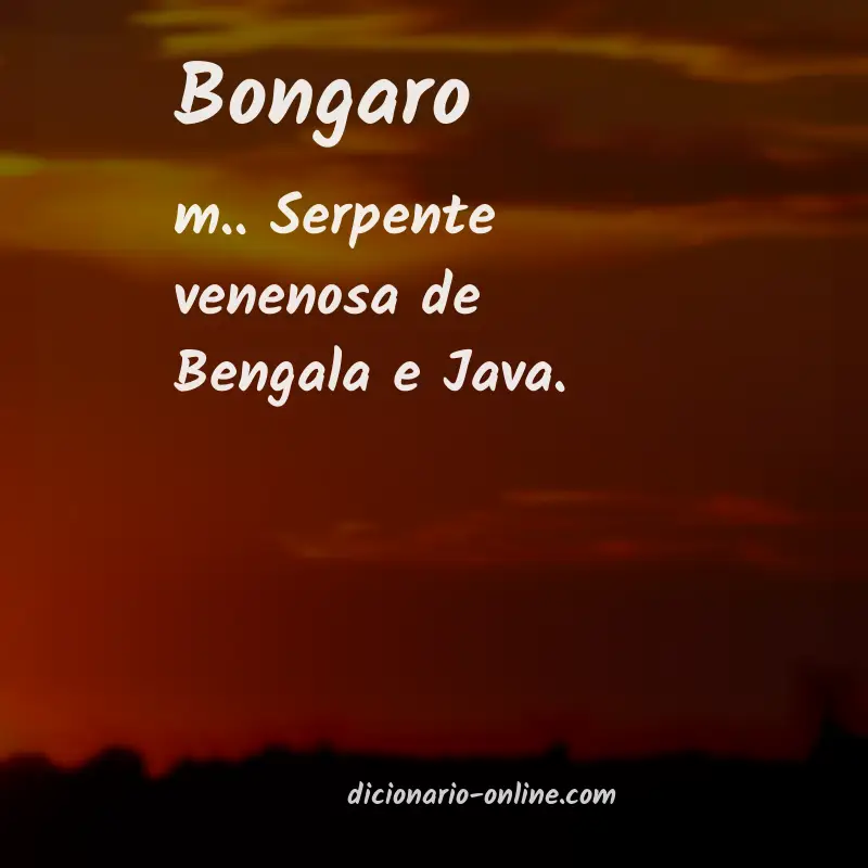 Significado de bongaro