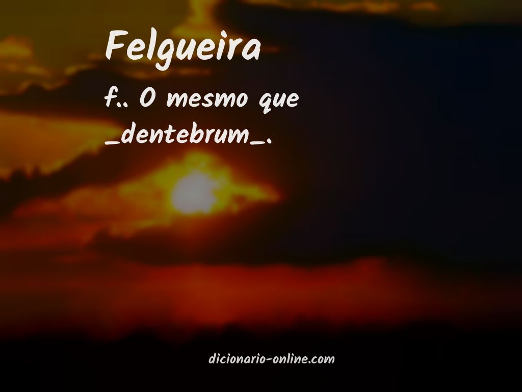 Significado de felgueira