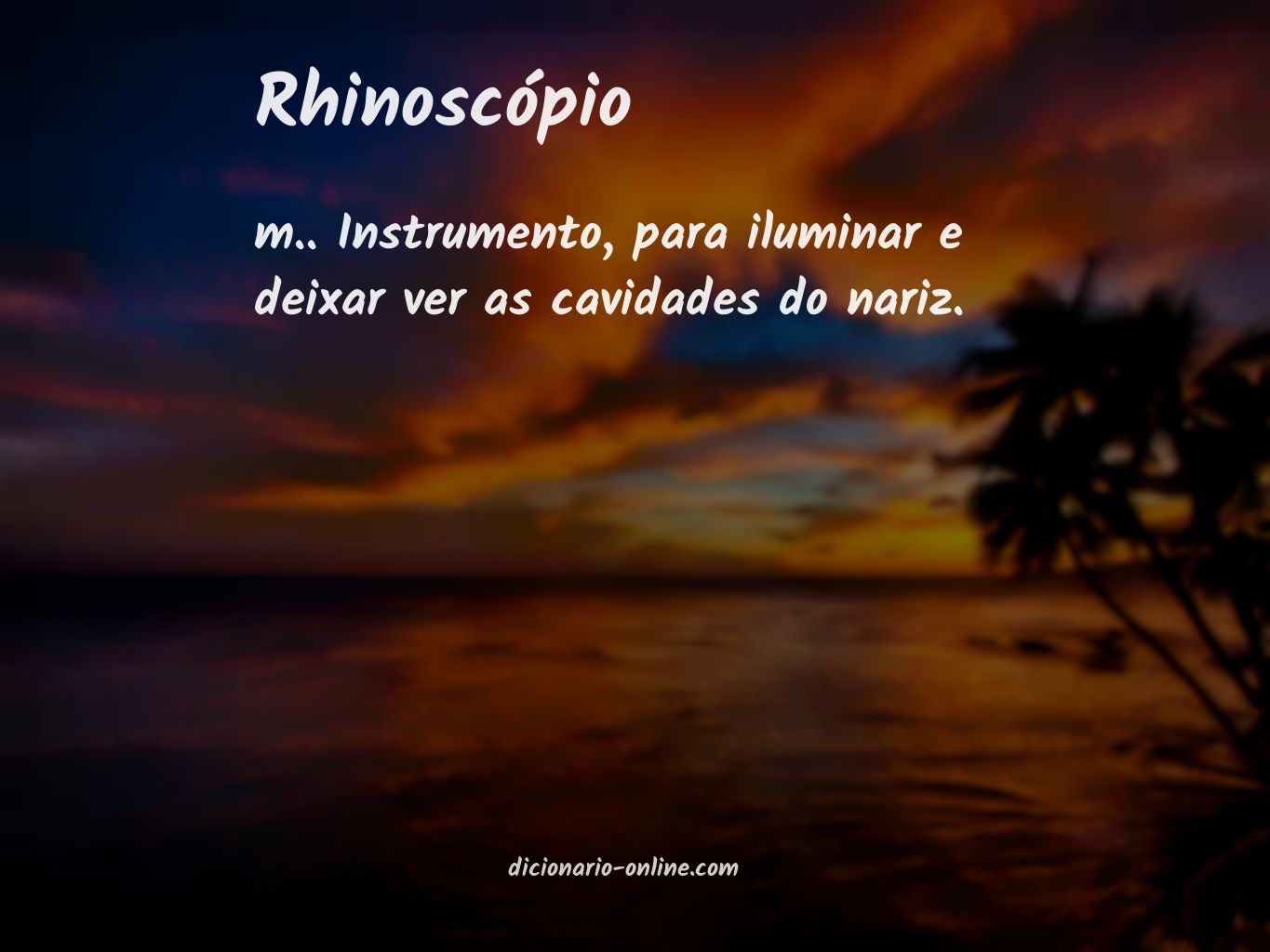 Significado de rhinoscópio