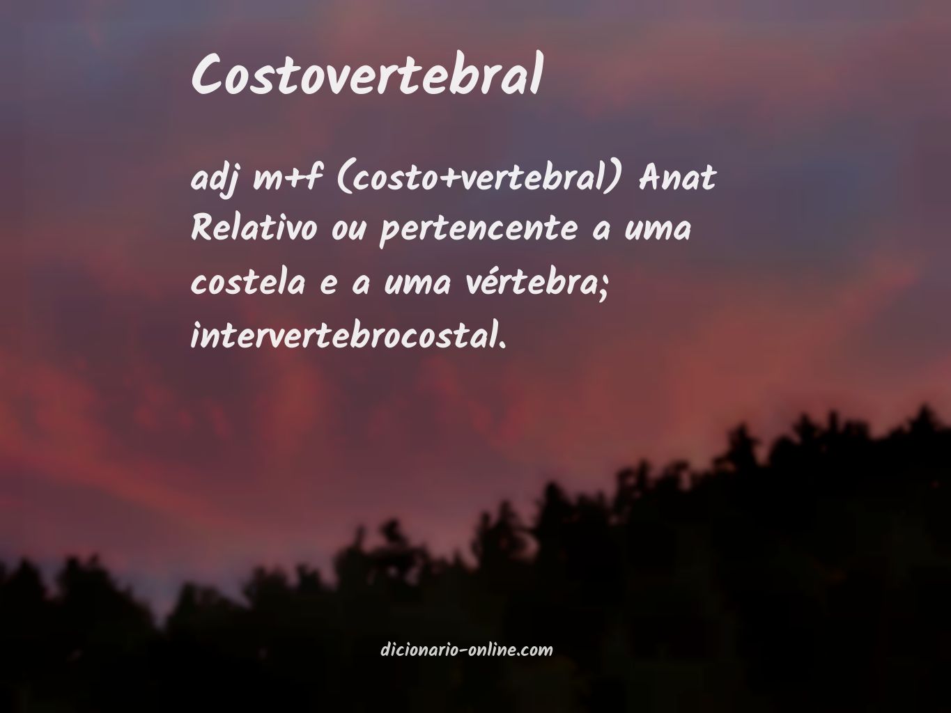 Significado de costovertebral