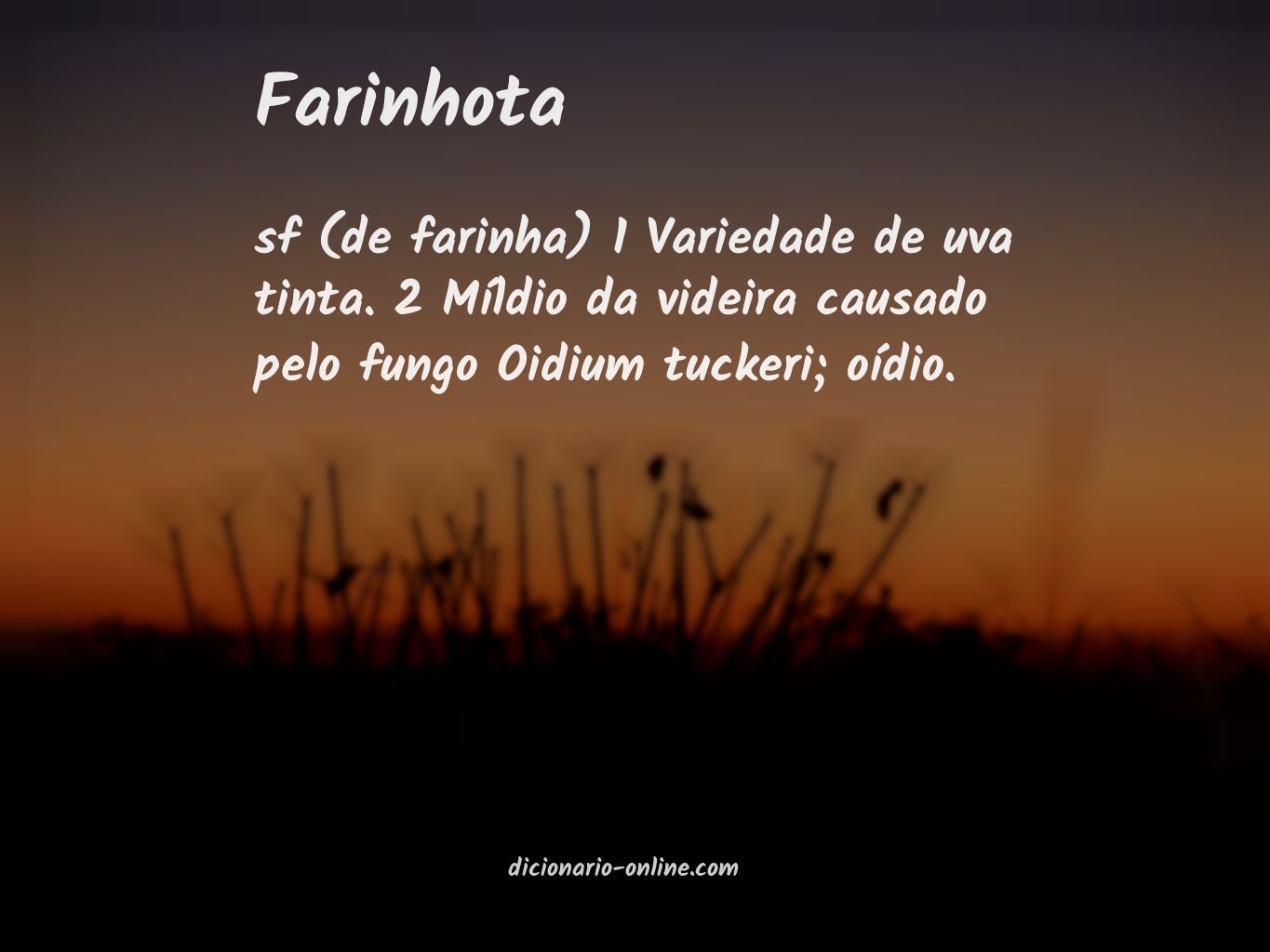 Significado de farinhota