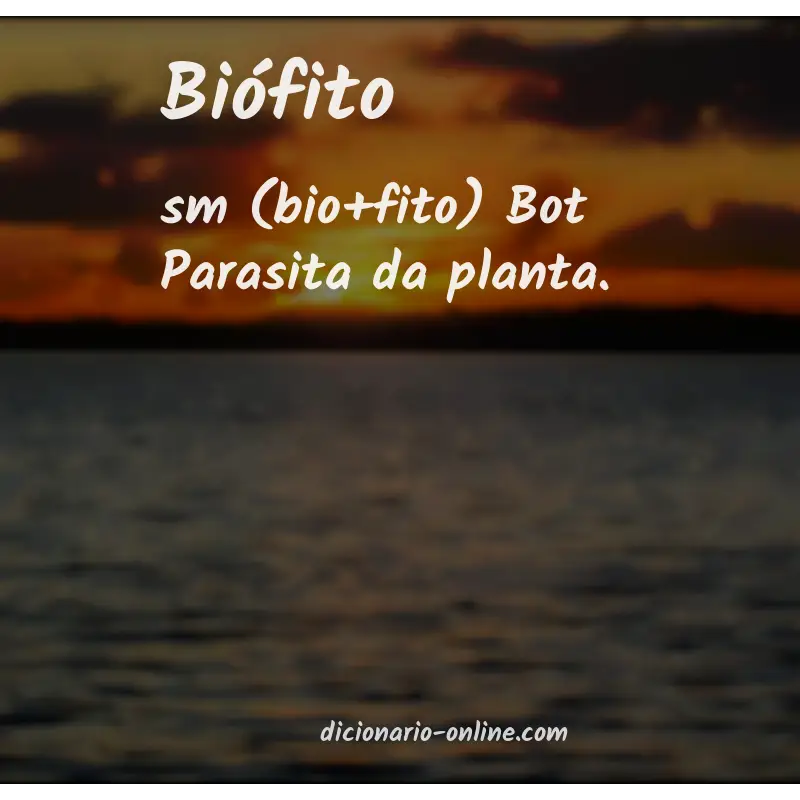 Significado de biófito