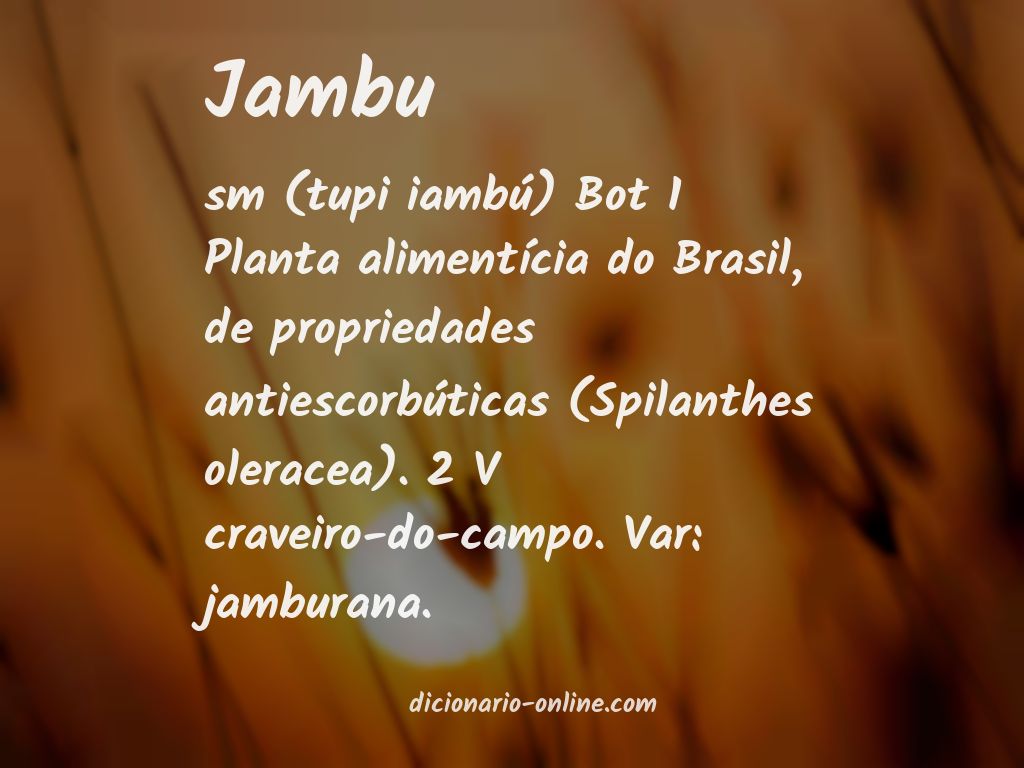 Significado de jambu