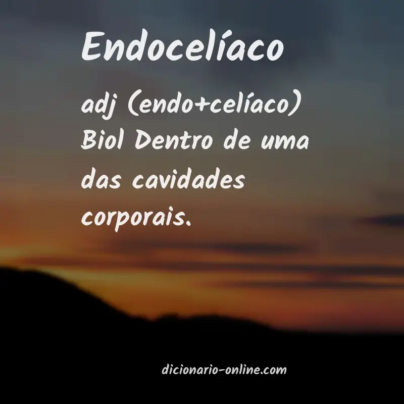 Significado de endocelíaco