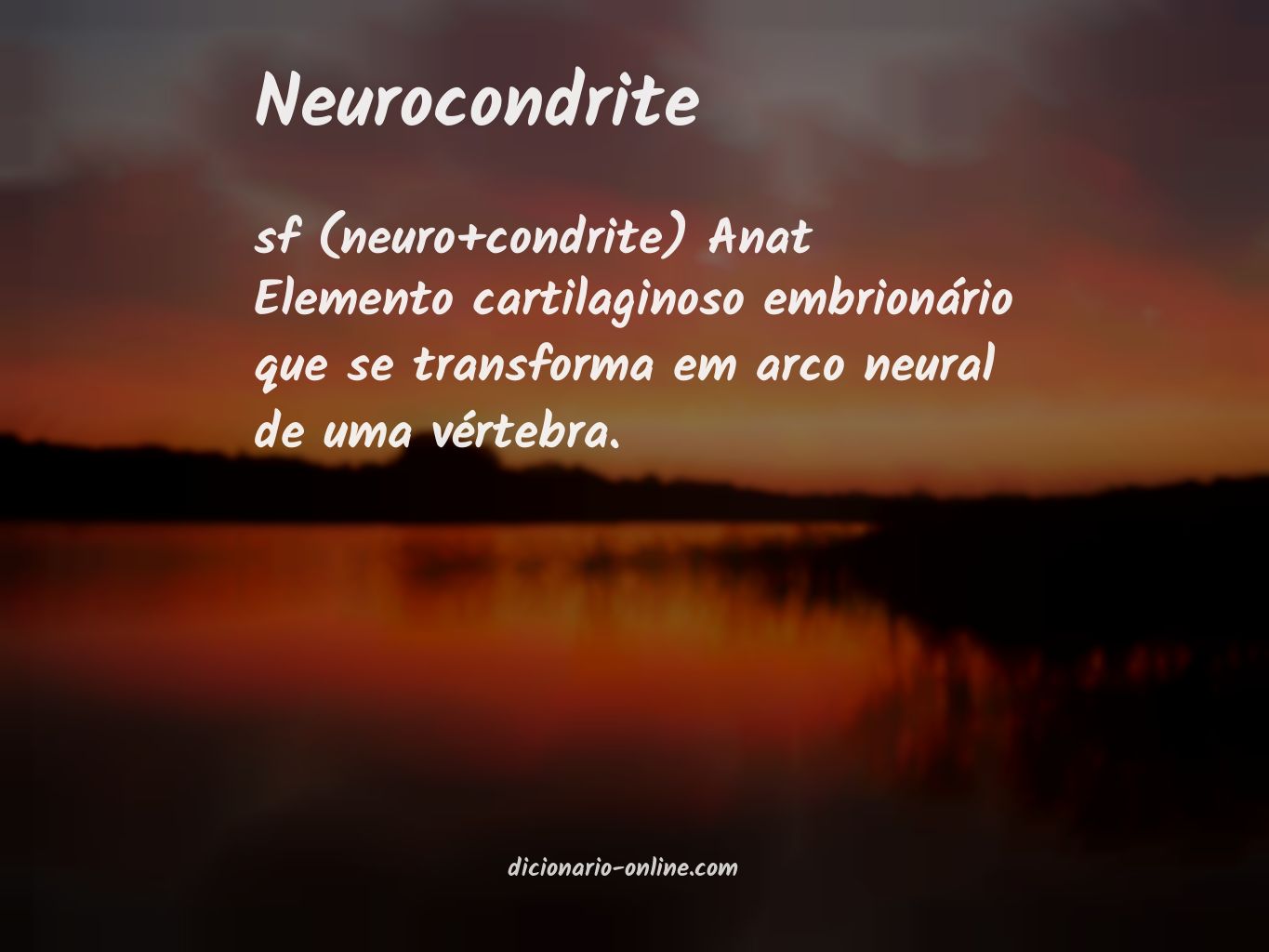 Significado de neurocondrite