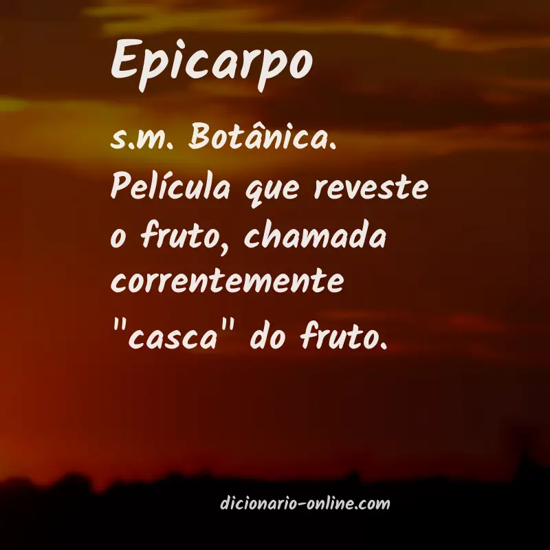 Significado de epicarpo