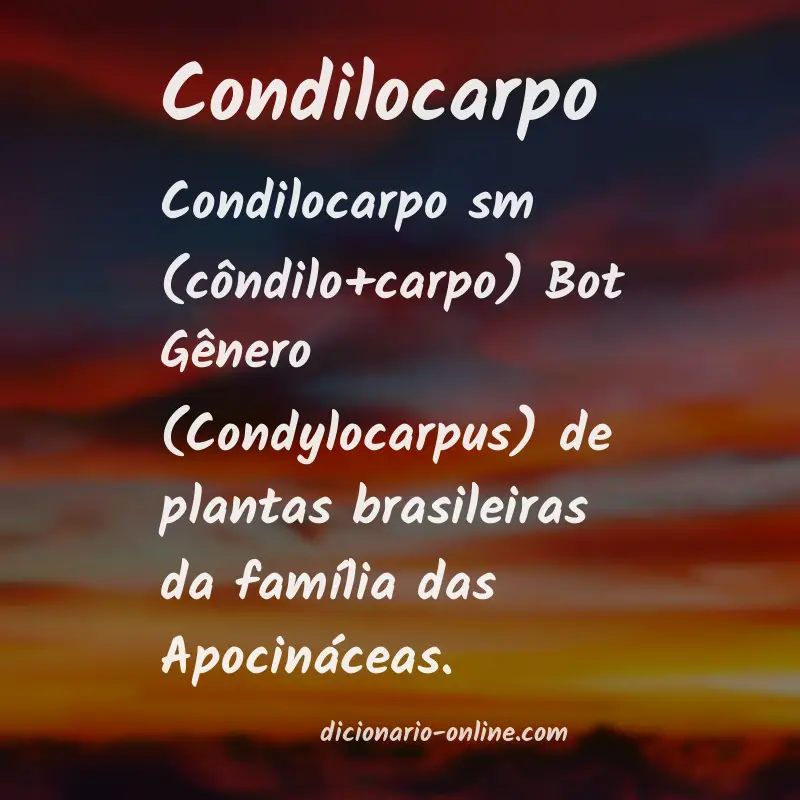 Significado de condilocarpo