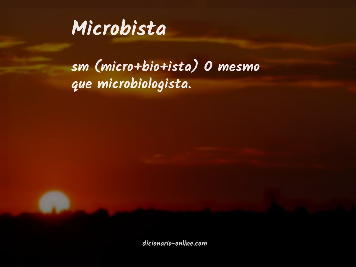 Significado de microbista