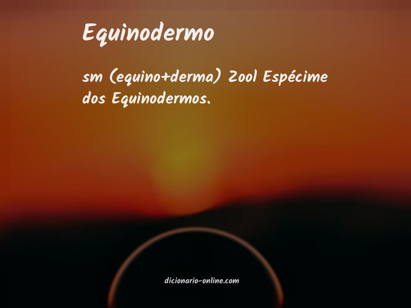 Significado de equinodermo