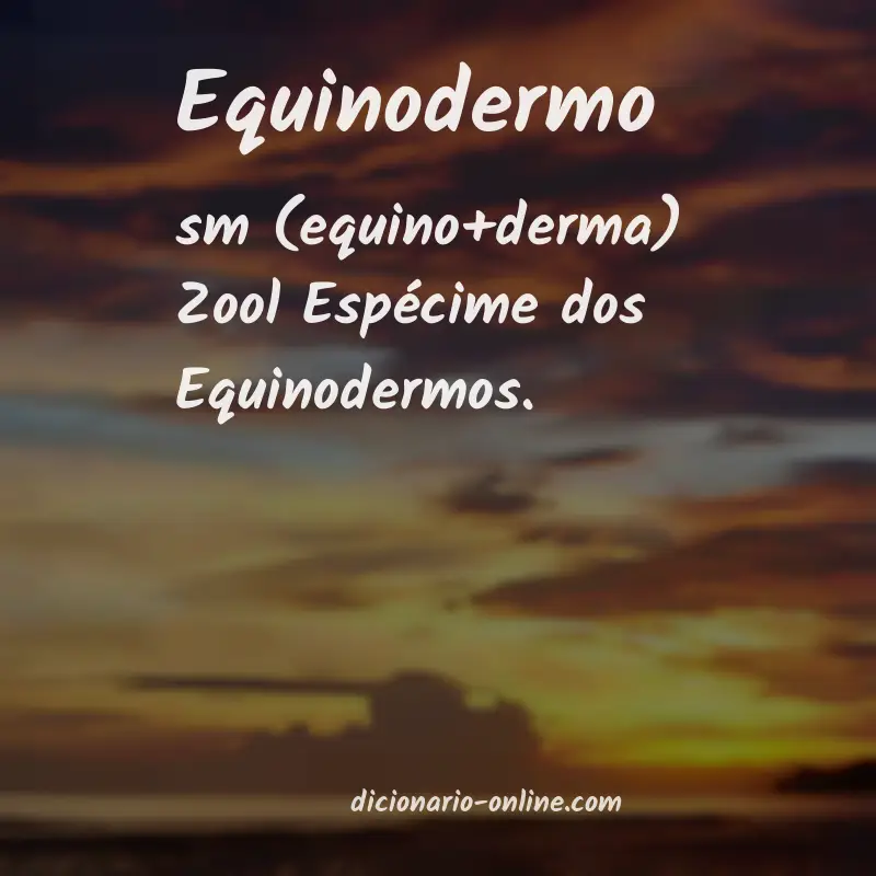 Significado de equinodermo