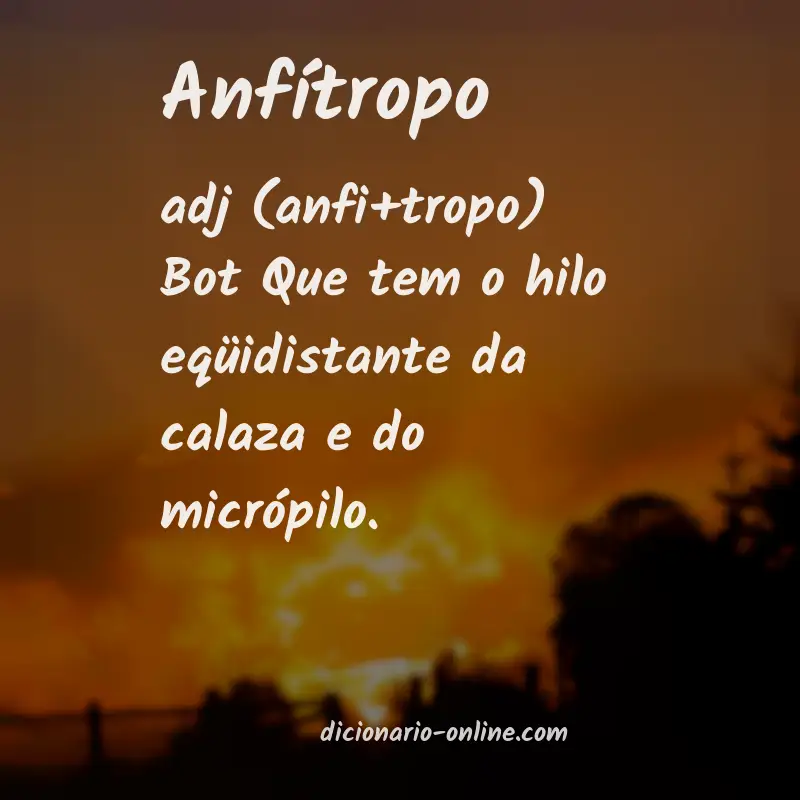 Significado de anfítropo