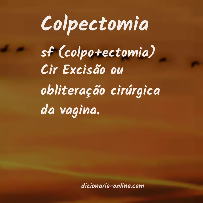 Significado de colpectomia