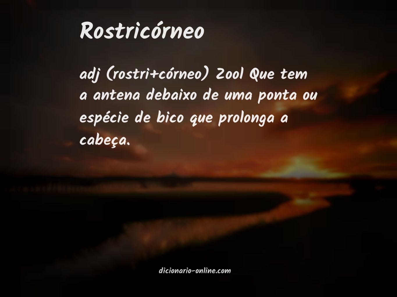 Significado de rostricórneo