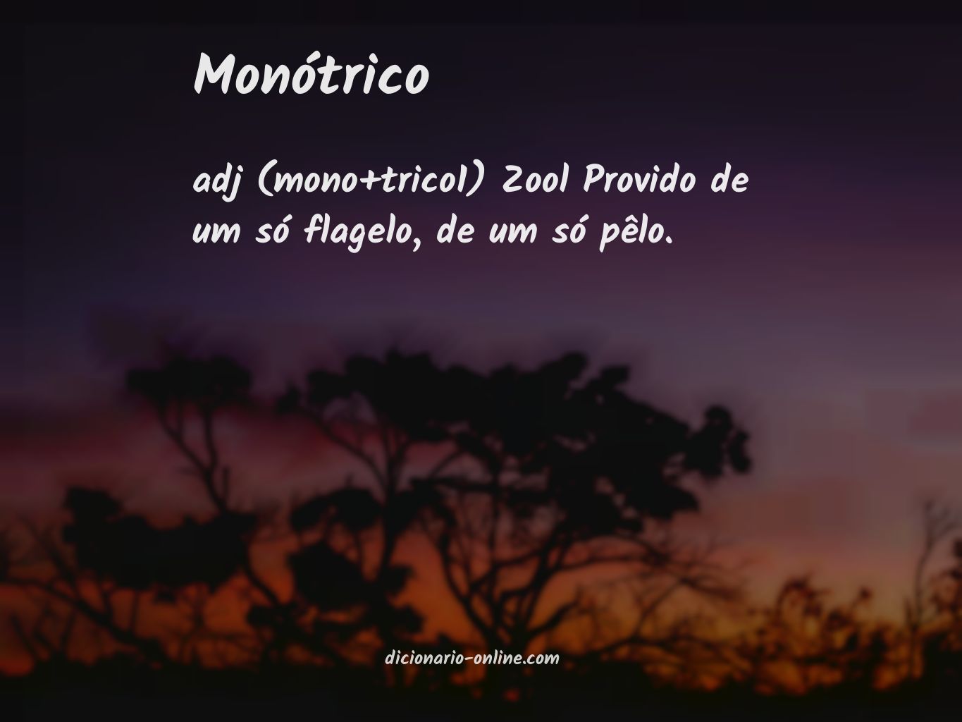 Significado de monótrico