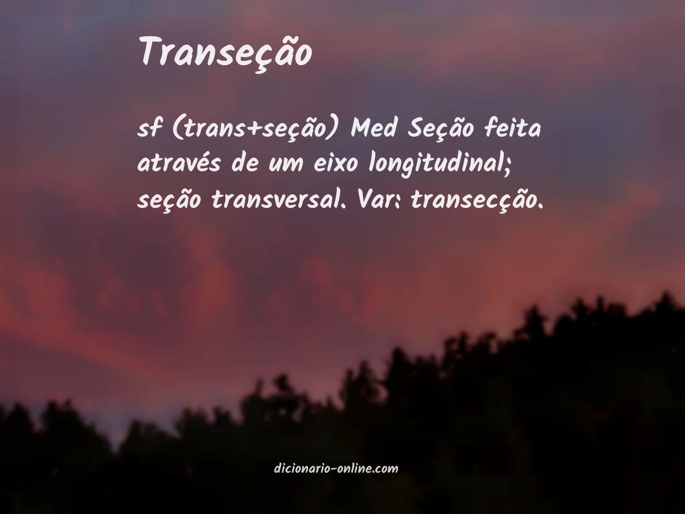 Significado de transeção