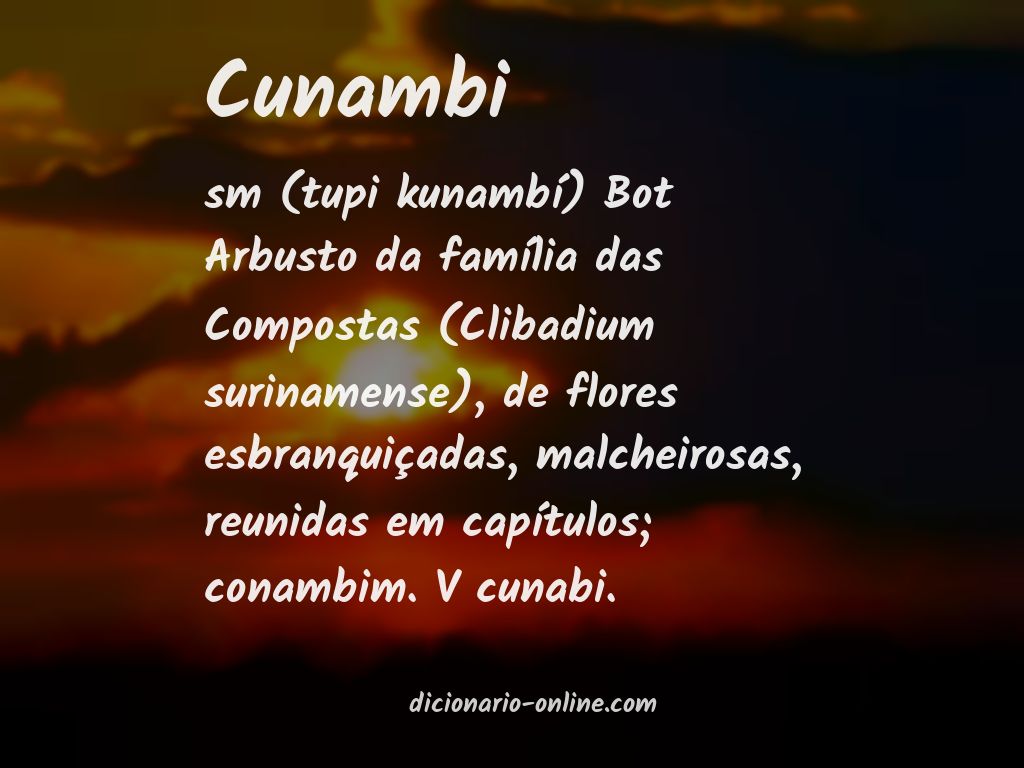 Significado de cunambi