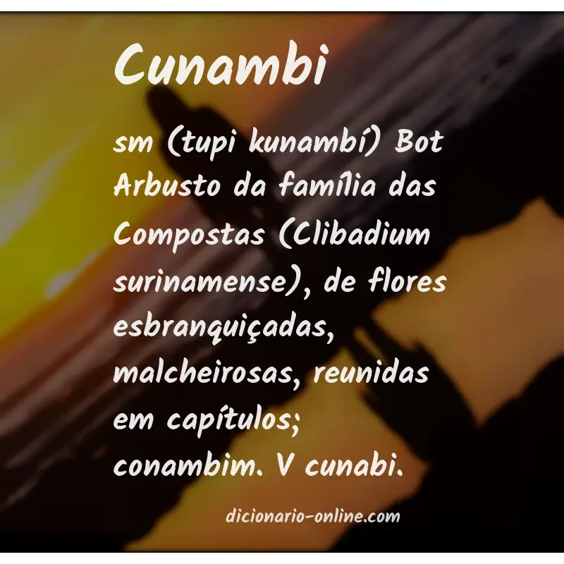 Significado de cunambi