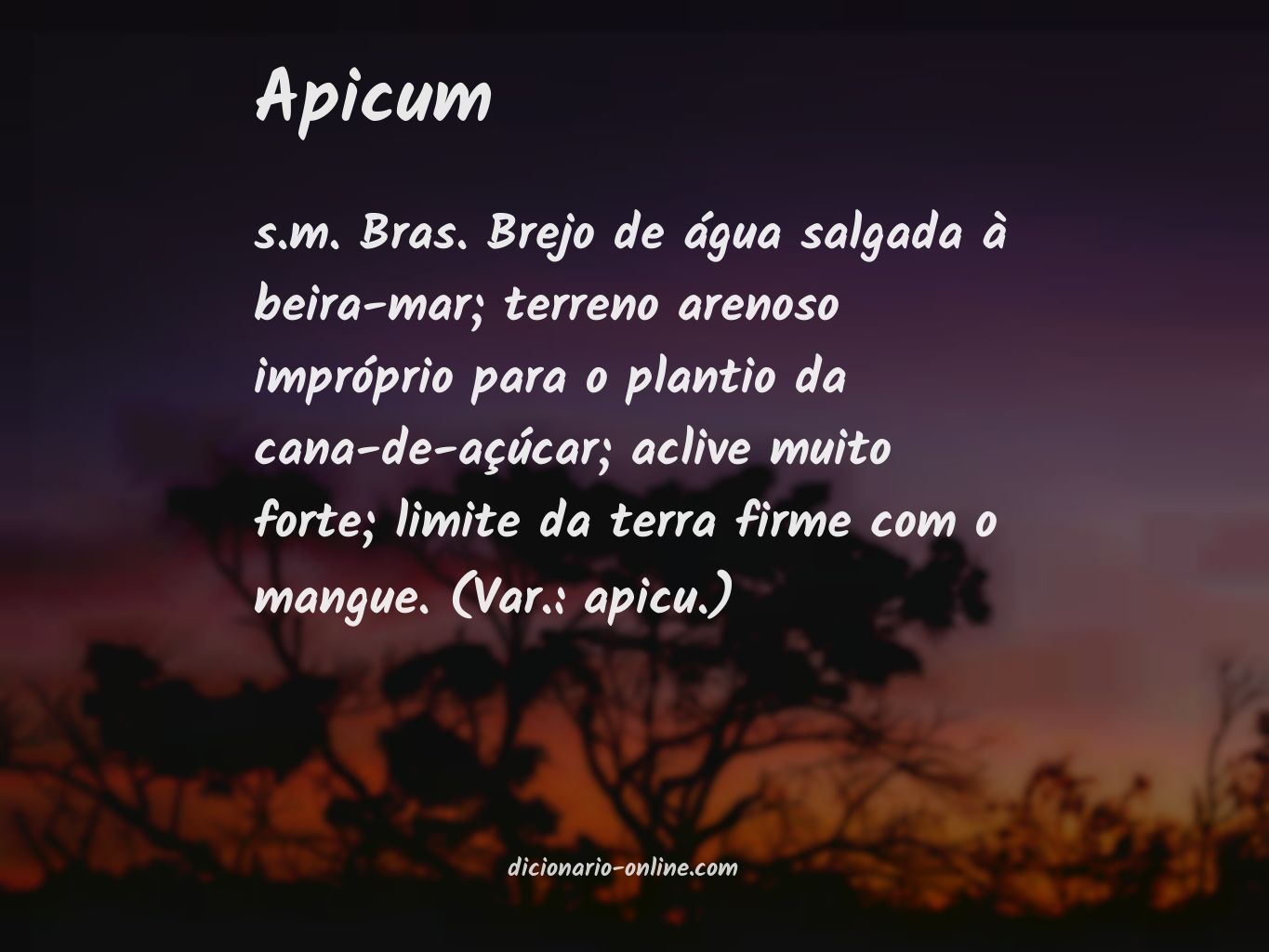 Significado de apicum