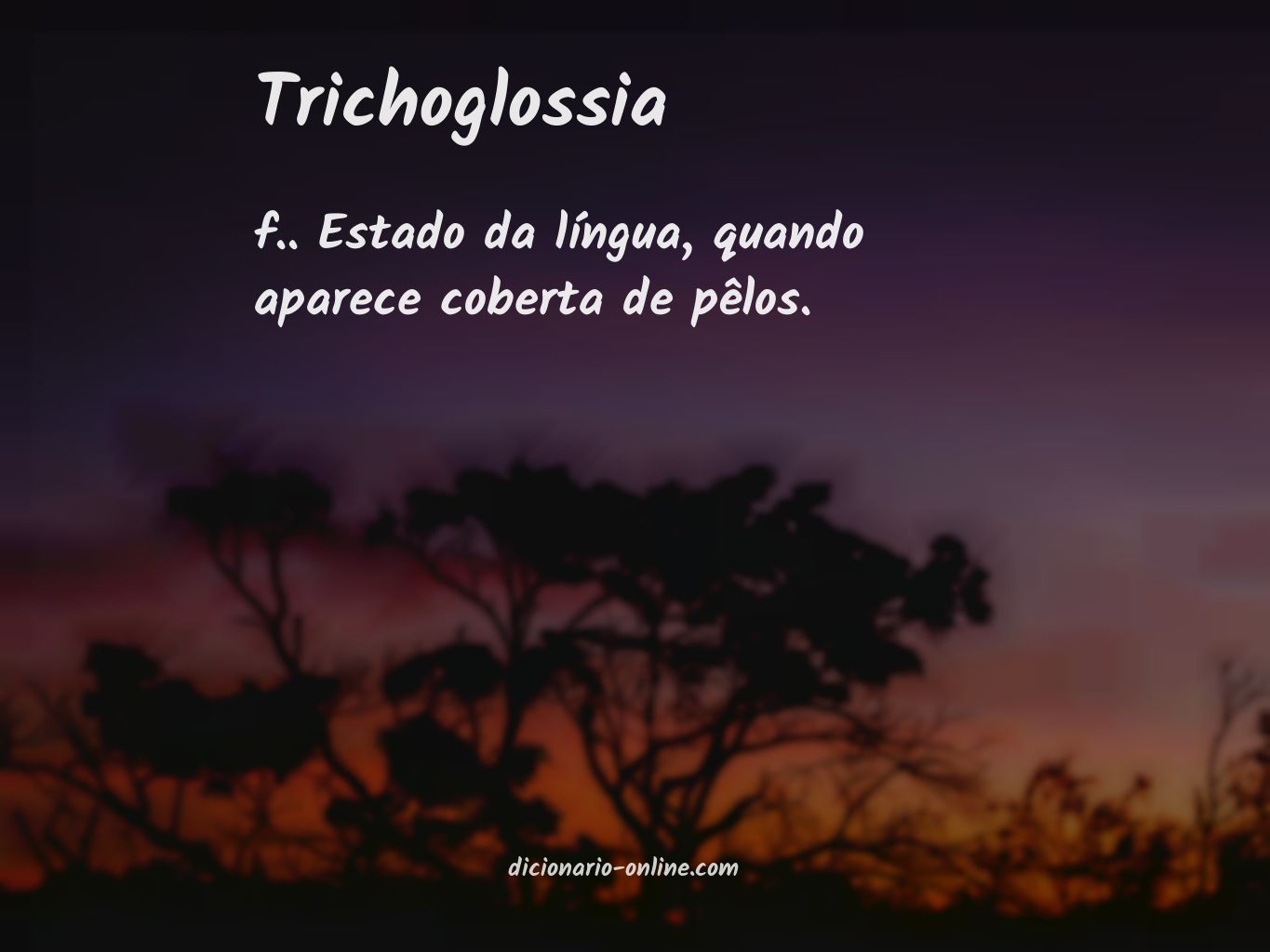 Significado de trichoglossia