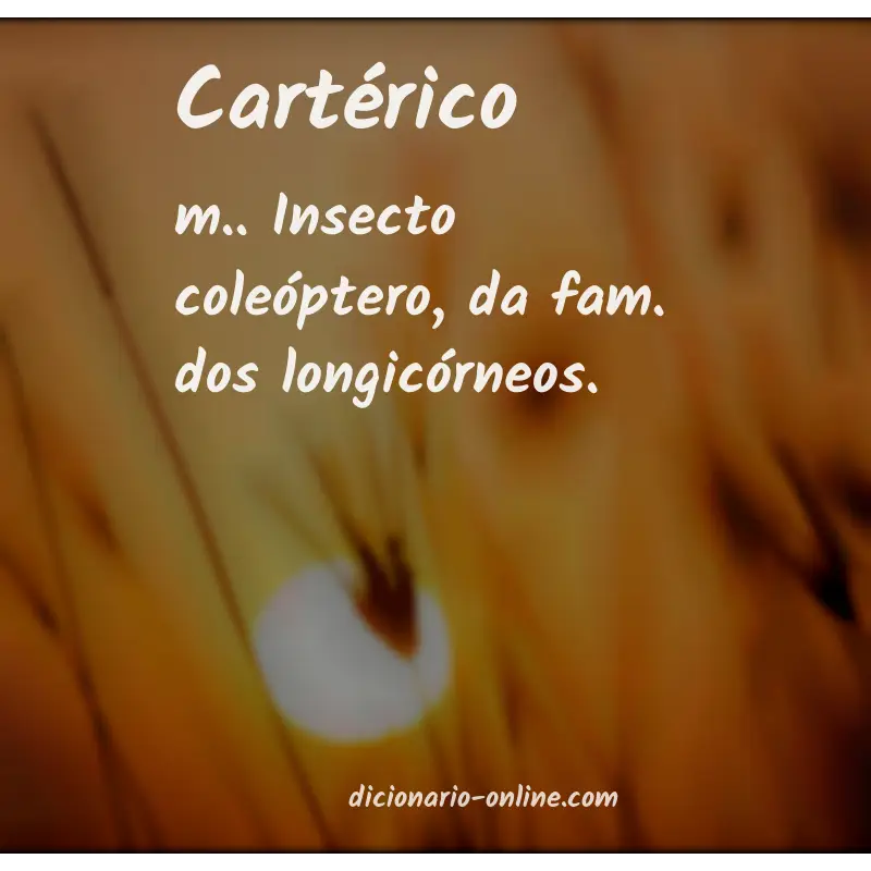 Significado de cartérico
