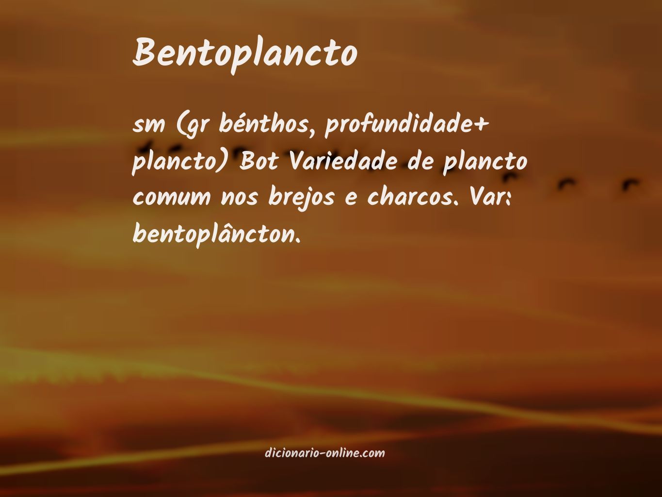 Significado de bentoplancto