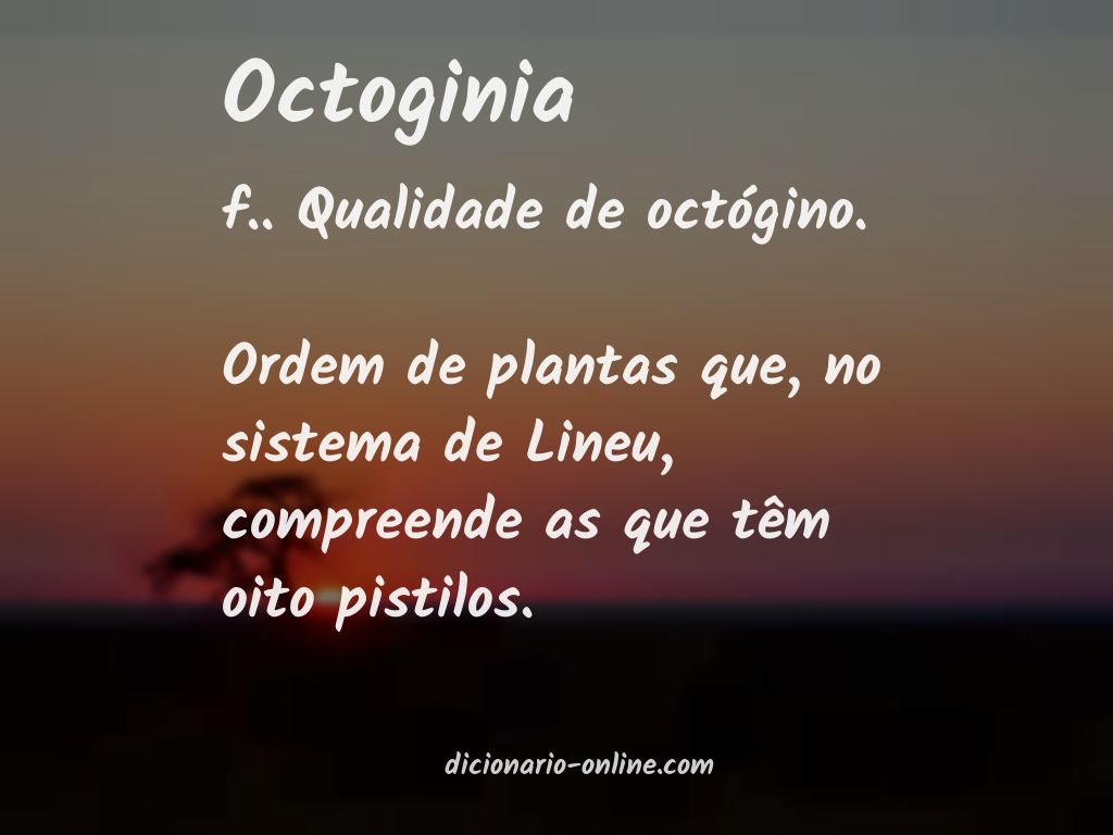 Significado de octoginia