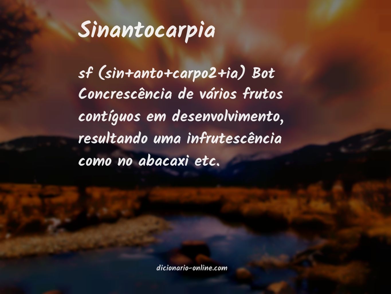 Significado de sinantocarpia