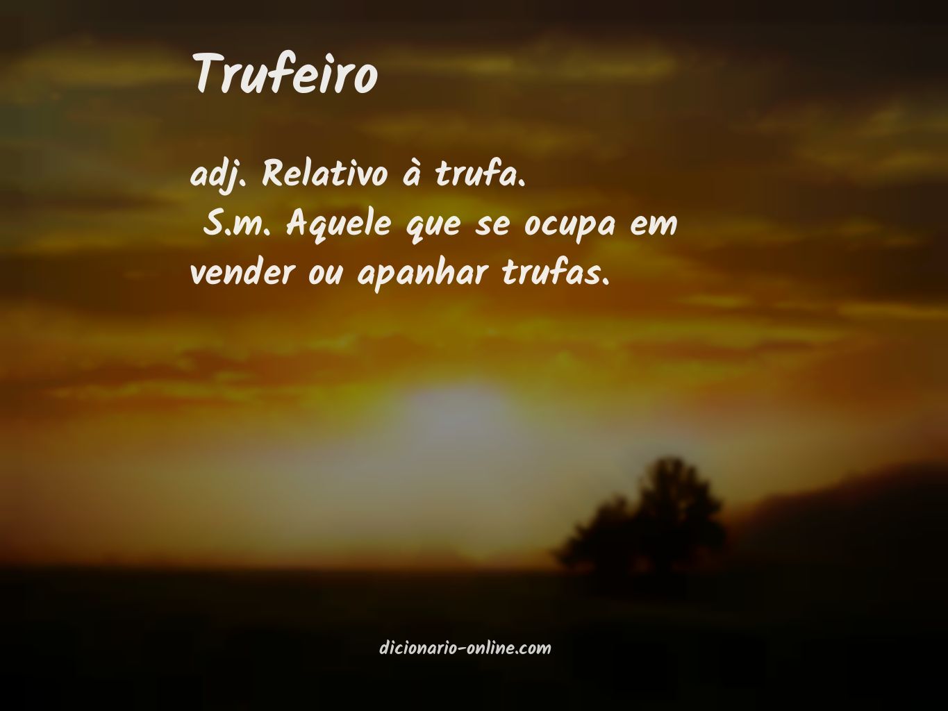 Significado de trufeiro