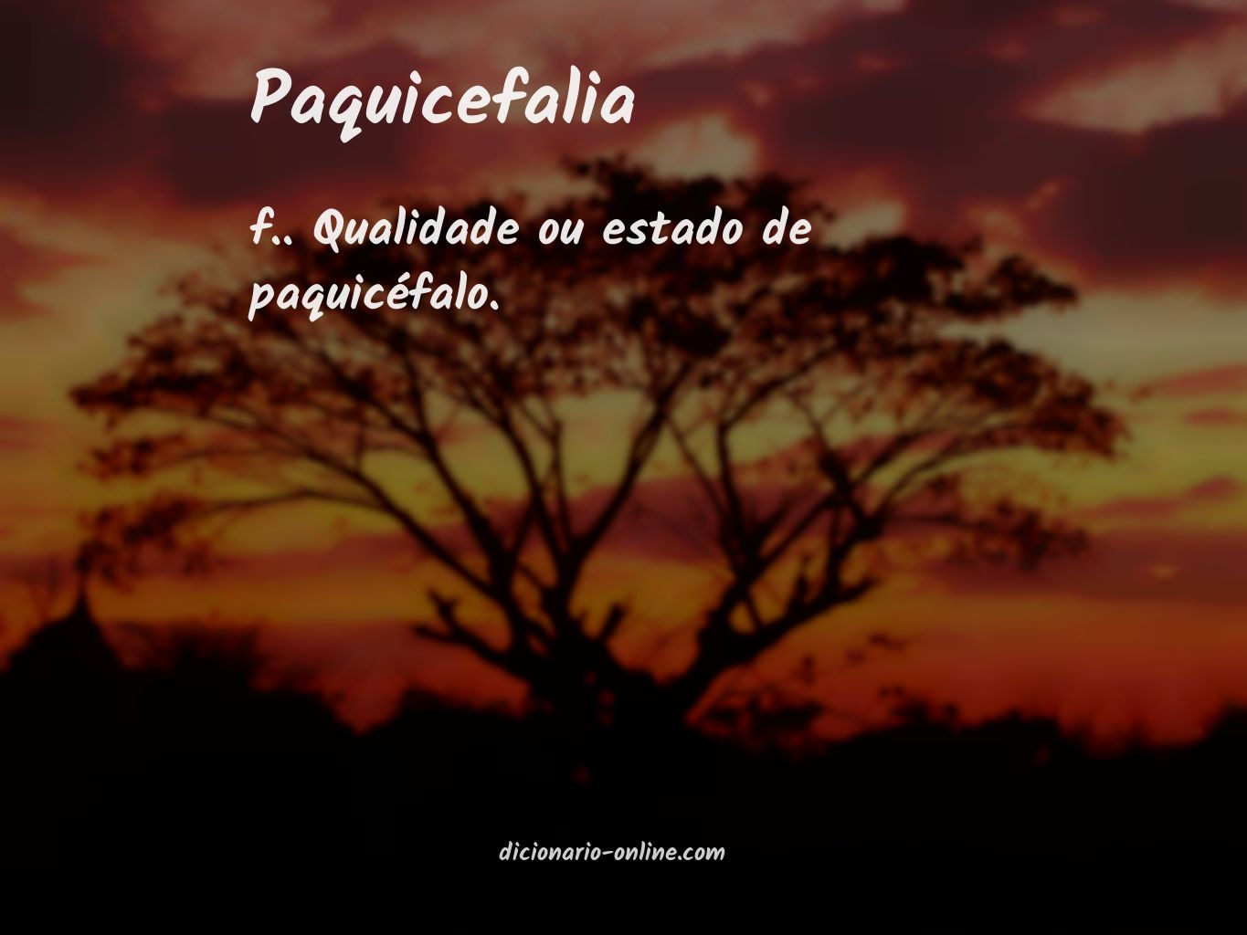 Significado de paquicefalia