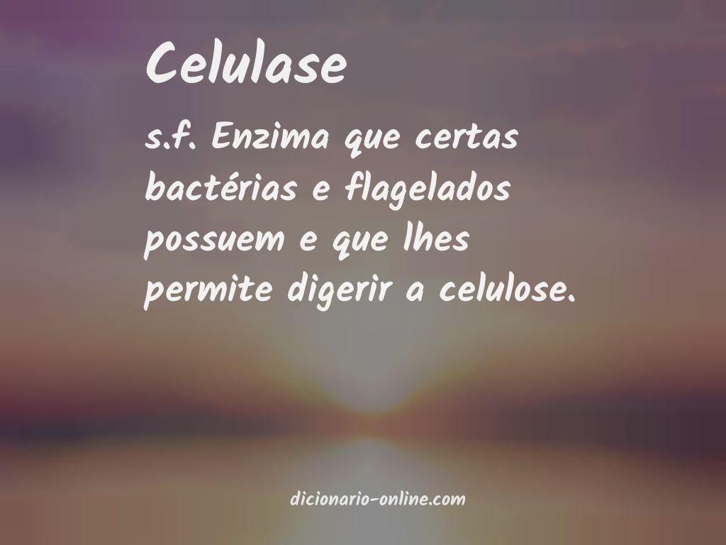 Significado de celulase