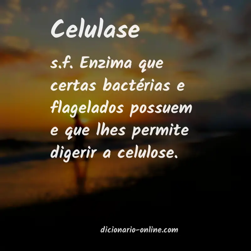 Significado de celulase
