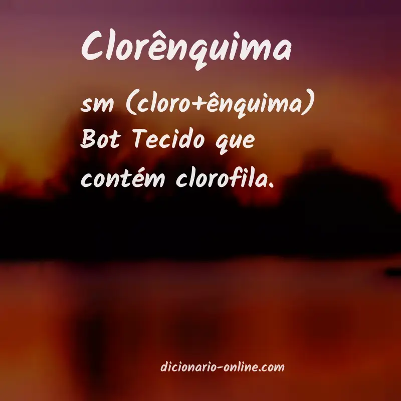 Significado de clorênquima