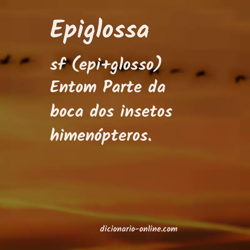 Significado de epiglossa