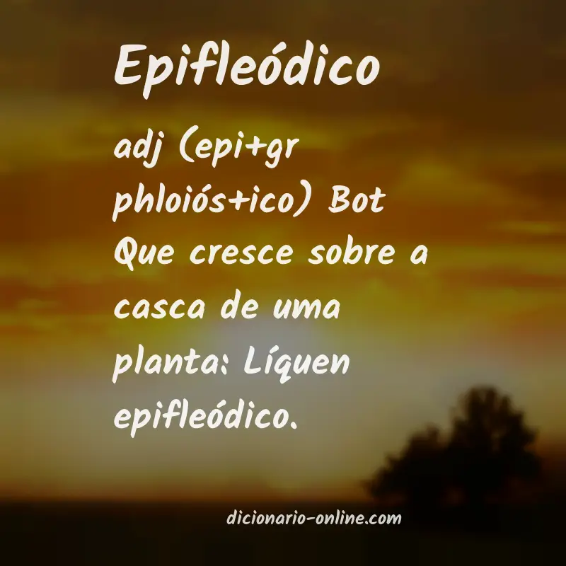 Significado de epifleódico