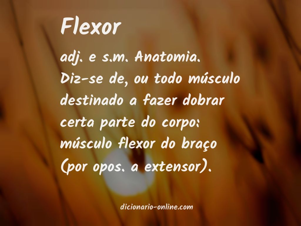 Significado de flexor