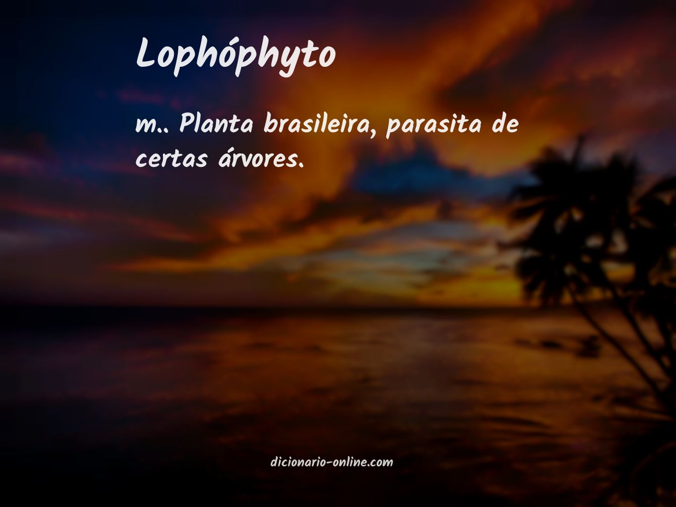 Significado de lophóphyto