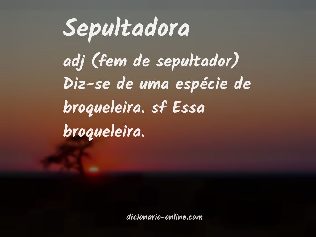 Significado de sepultadora