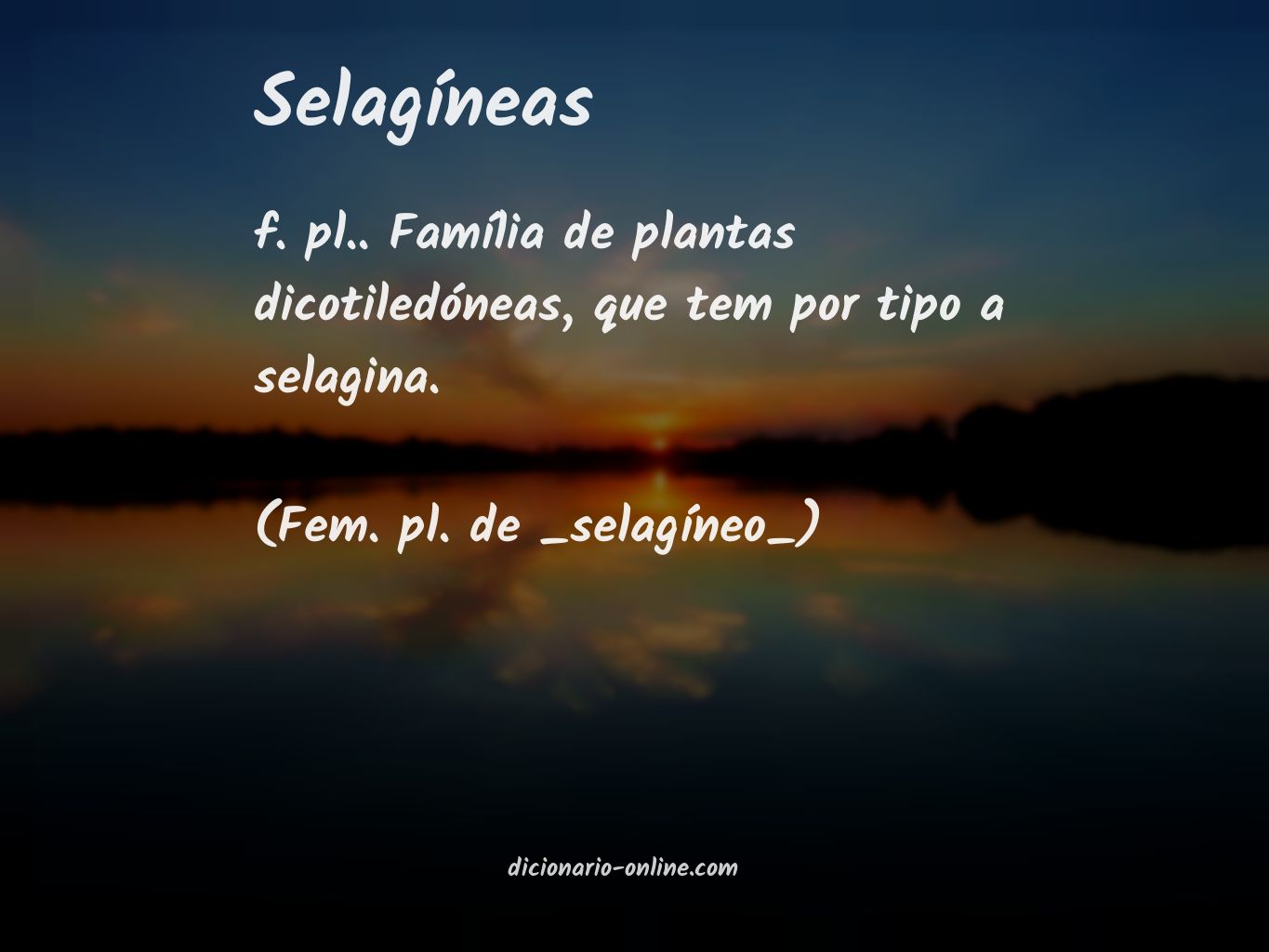 Significado de selagíneas