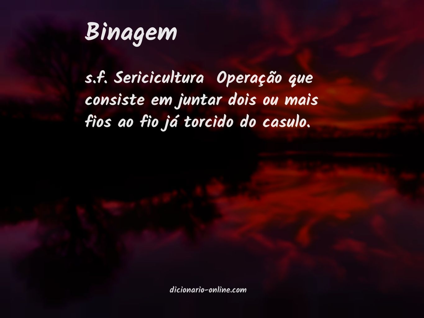 Significado de binagem