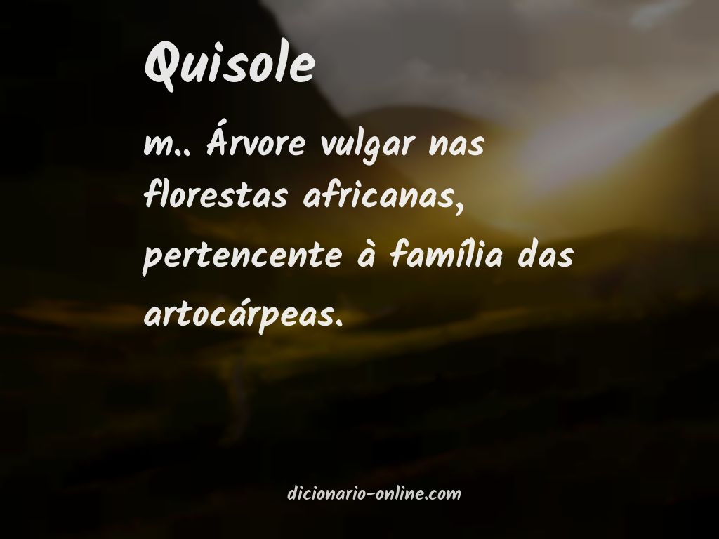 Significado de quisole