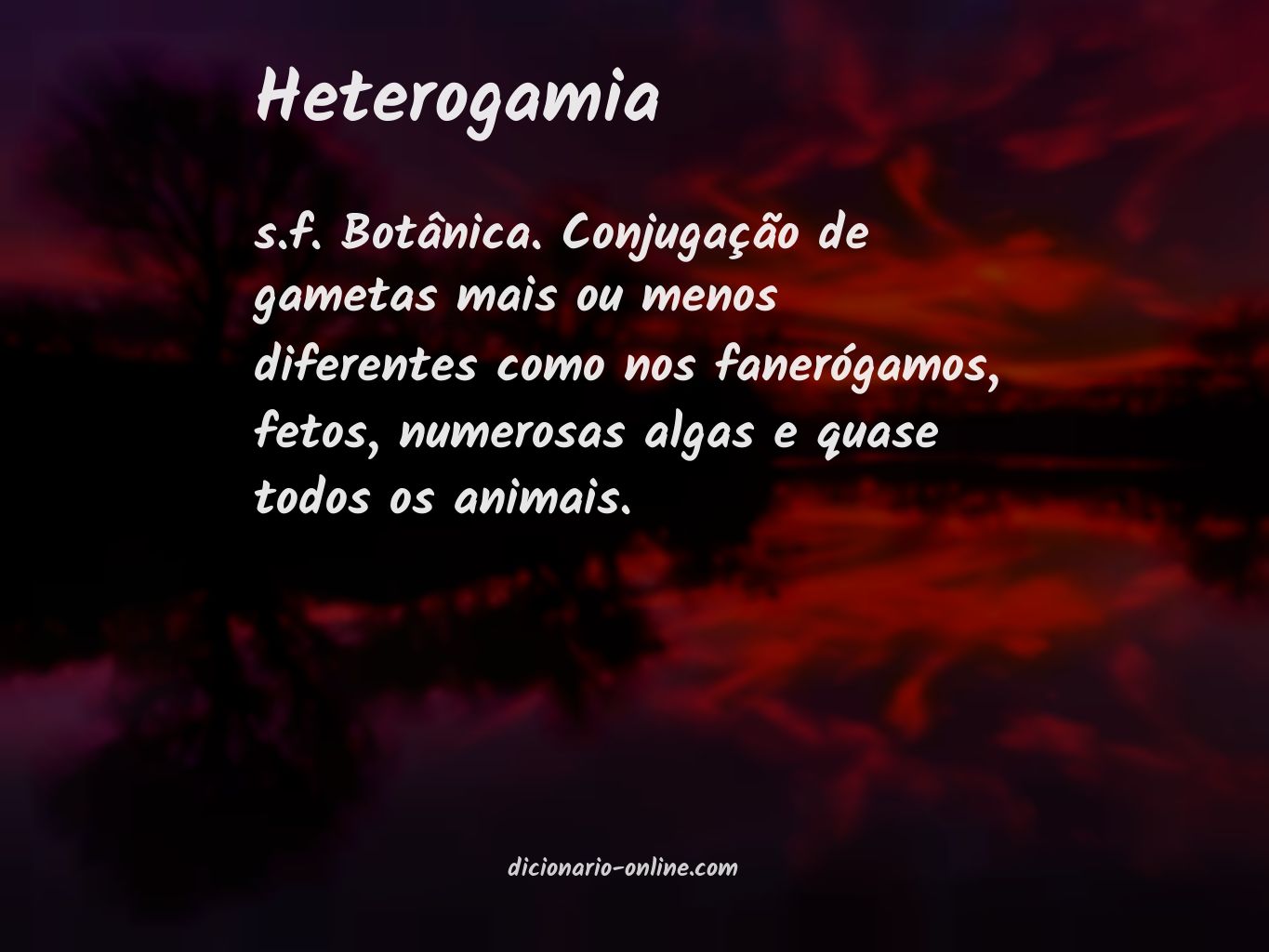 Significado de heterogamia