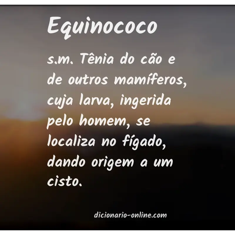 Significado de equinococo