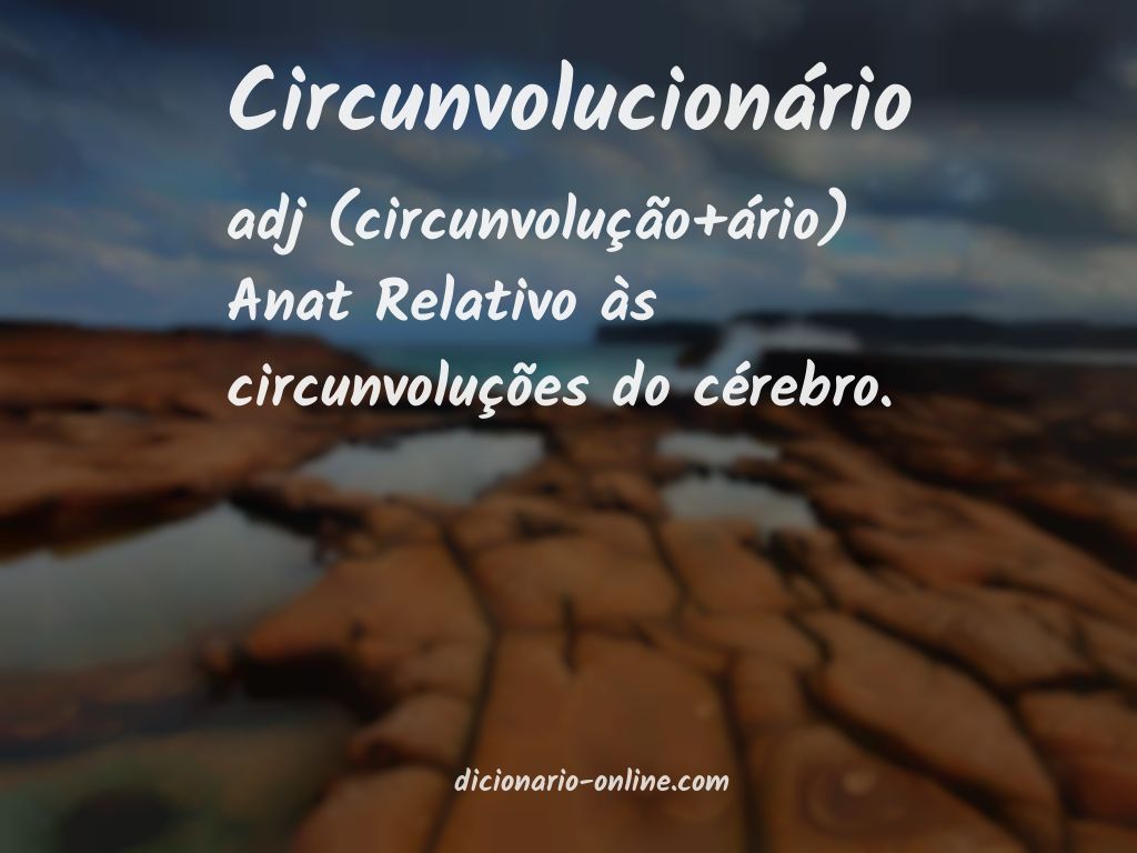 Significado de circunvolucionário