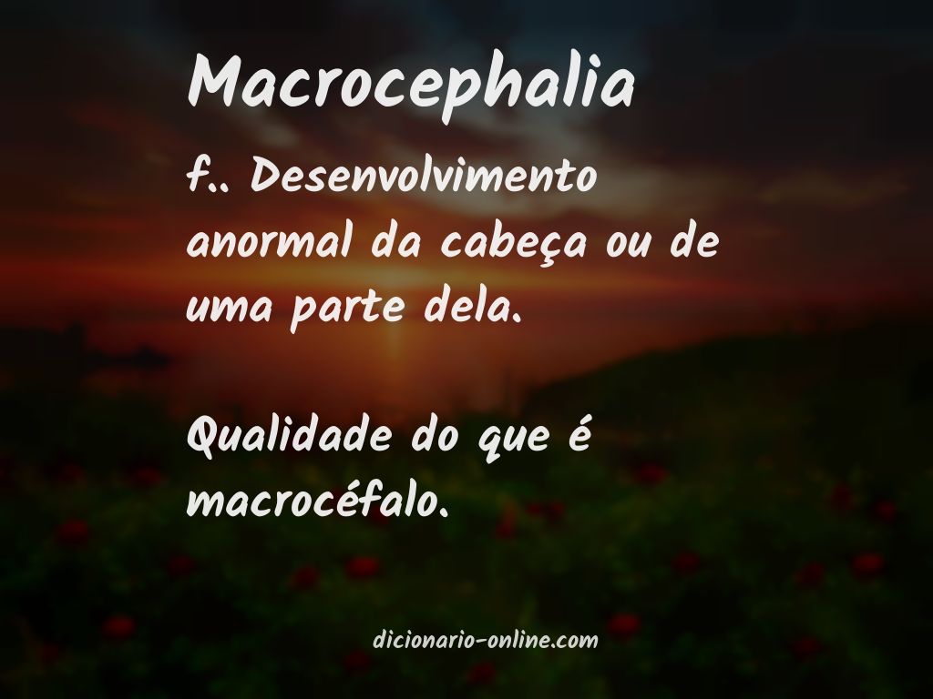 Significado de macrocephalia