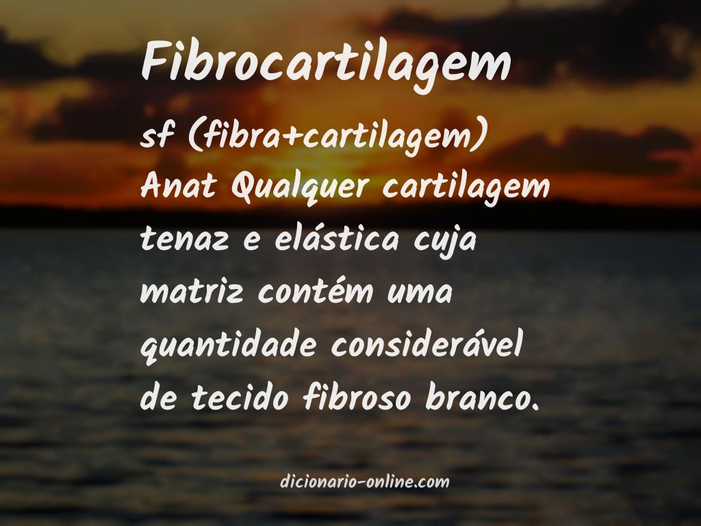 Significado de fibrocartilagem