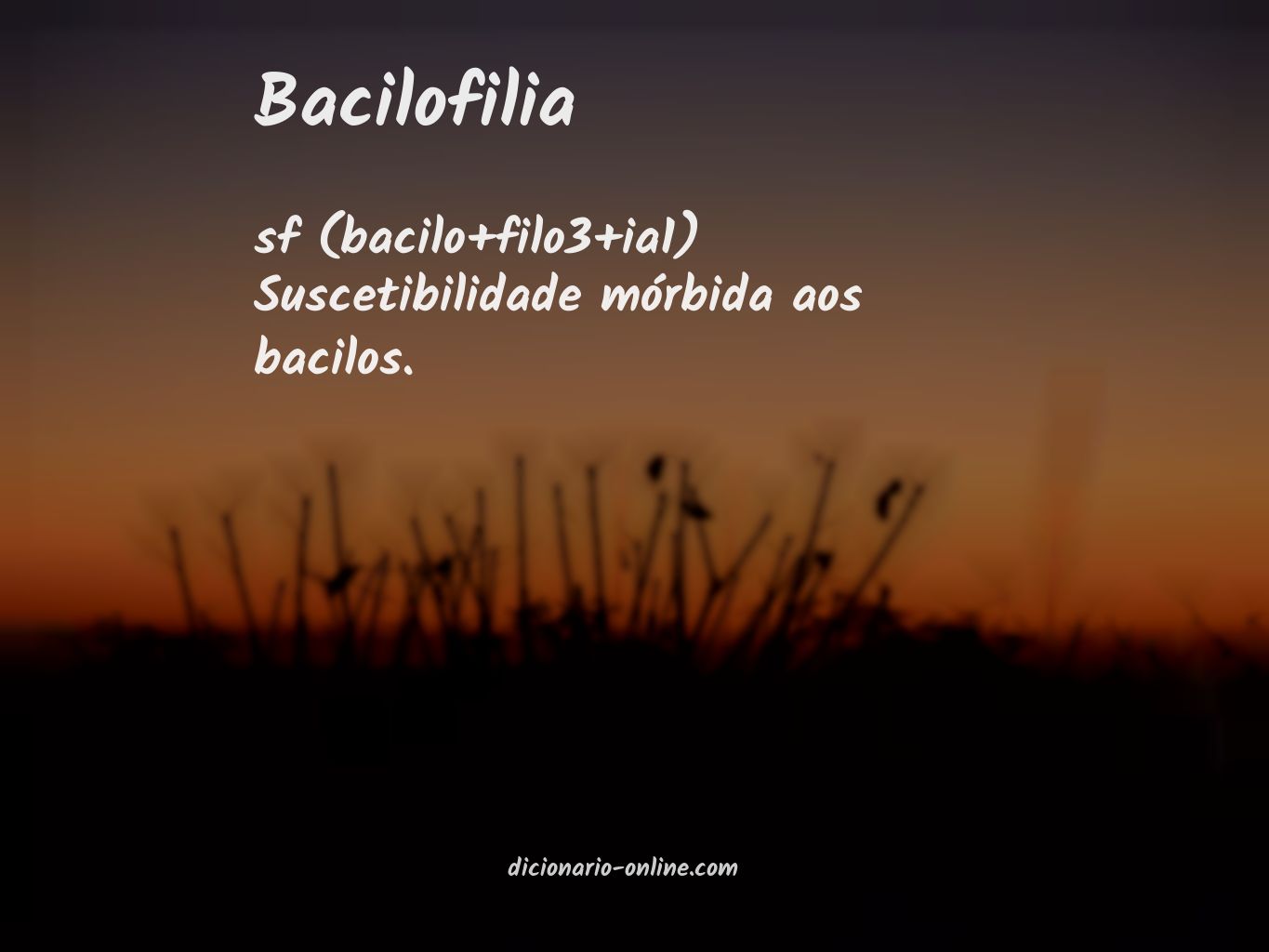 Significado de bacilofilia