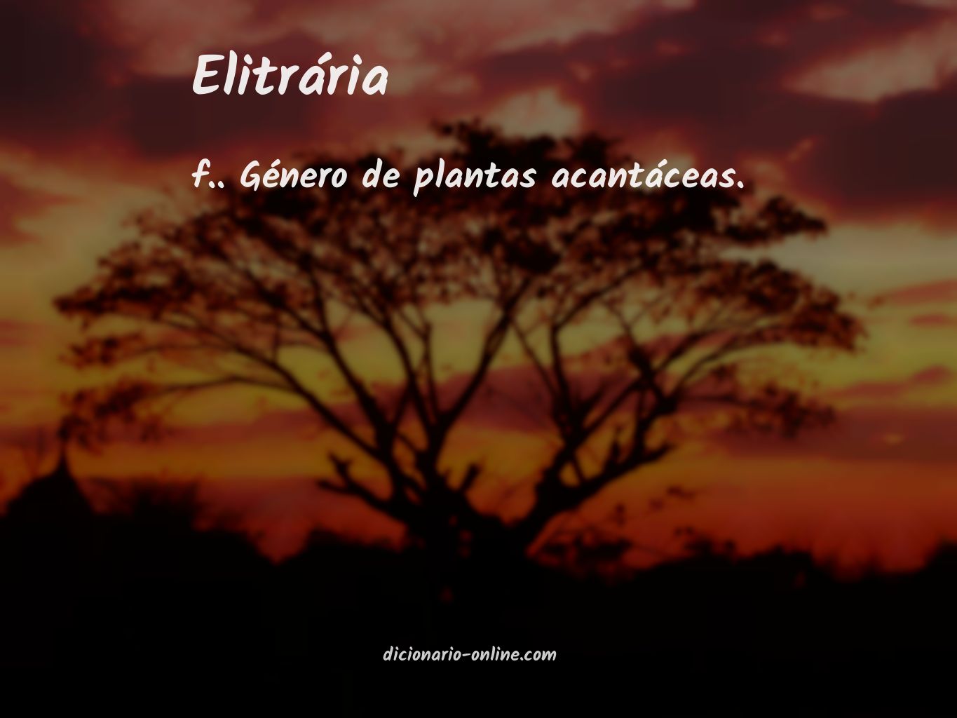 Significado de elitrária