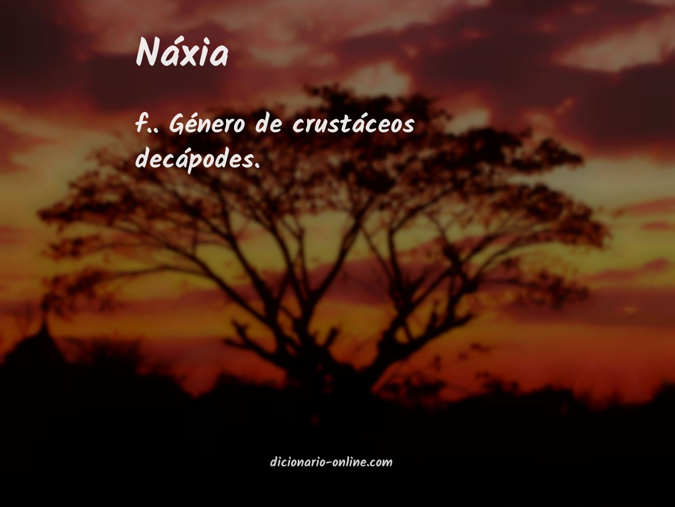 Significado de náxia