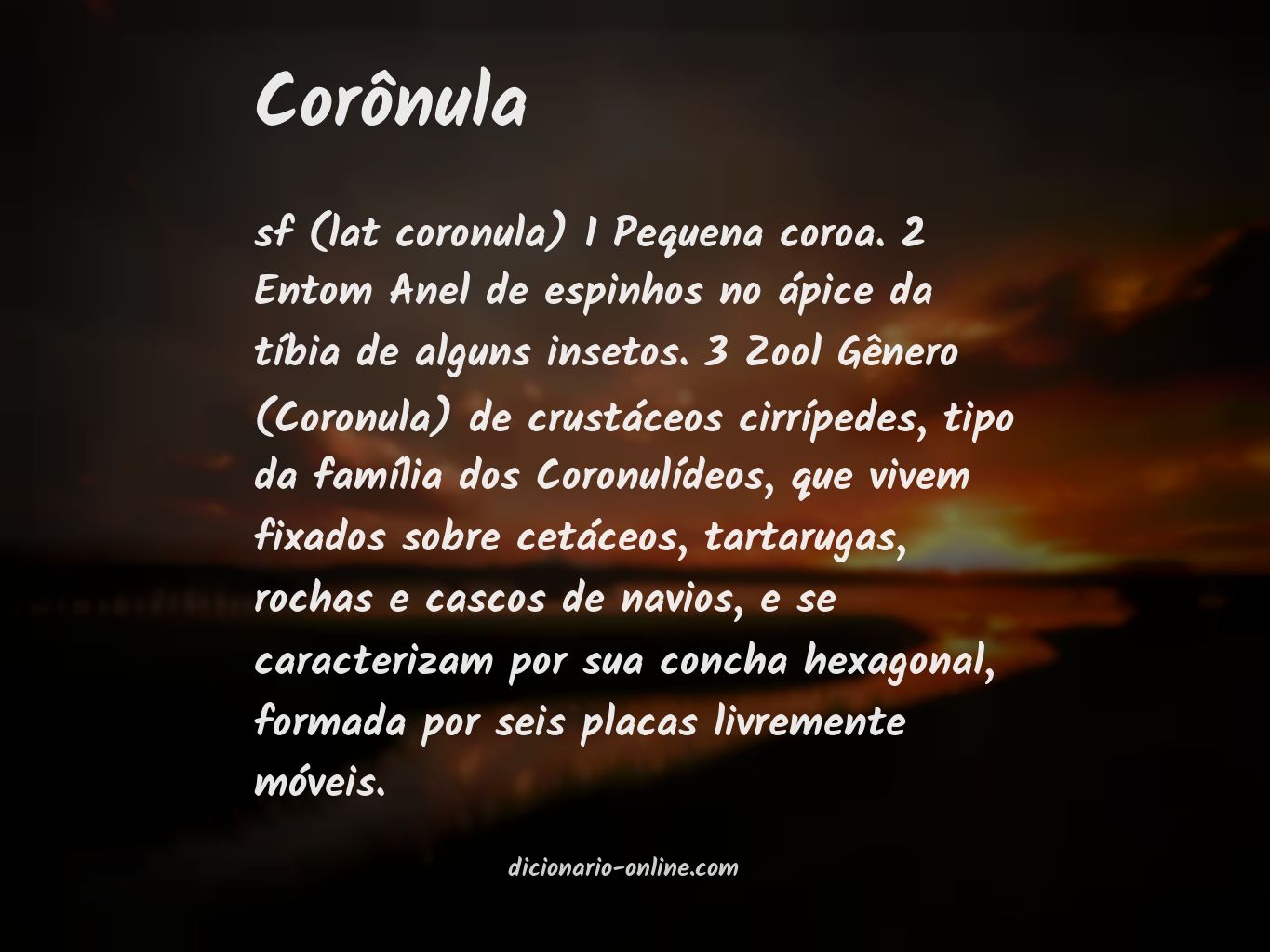 Significado de corônula